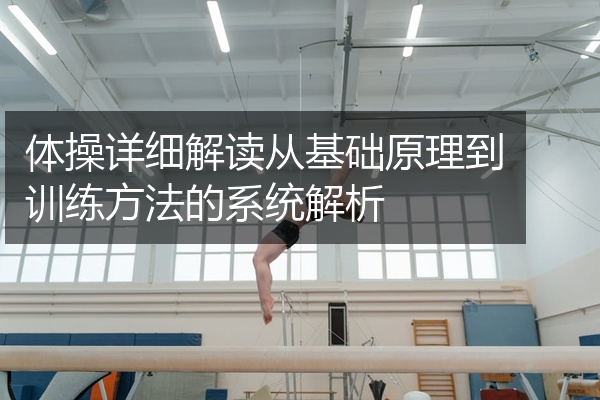 体操详细解读从基础原理到训练方法的系统解析